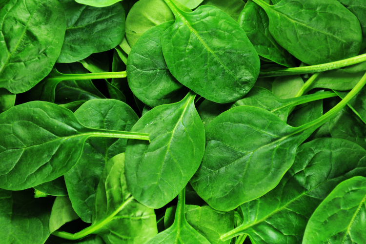 What Are the Health Benefits of Spinach?