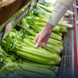 Health Benefits of Celery